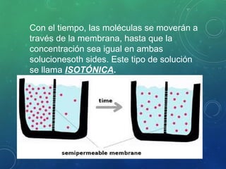 Con el tiempo, las moléculas se moverán a
través de la membrana, hasta que la
concentración sea igual en ambas
solucionesoth sides. Este tipo de solución
se llama ISOTÓNICA.
 