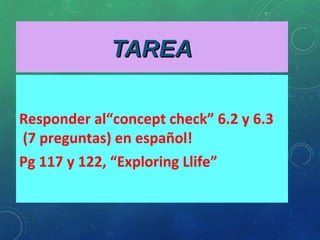TAREATAREA
Responder al“concept check” 6.2 y 6.3
(7 preguntas) en español!
Pg 117 y 122, “Exploring Llife”
 