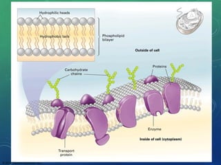 © 2014 Pearson Education, Inc.
 