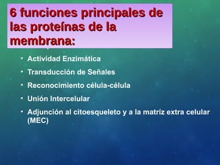 • Transporte
• Actividad Enzimática
• Transducción de Señales
• Reconocimiento célula-célula
• Unión Intercelular
• Adjunción al citoesqueleto y a la matríz extra celular
(MEC)
6 funciones principales de6 funciones principales de
las proteínas de lalas proteínas de la
membrana:membrana:
 