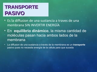 TRANSPORTETRANSPORTE
PASIVOPASIVO
• Es la diffusion de una sustancia a traves de una
membrana SIN INVERTIR ENERGÍA
• En equilibrio dinámico, la misma cantidad de
moléculas pasan hacia ambos lados de la
membrana
• La diffusion de una sustancia a través de la membrana es un transporte
pasivo pues no necesita energía de la célula para que suceda
 