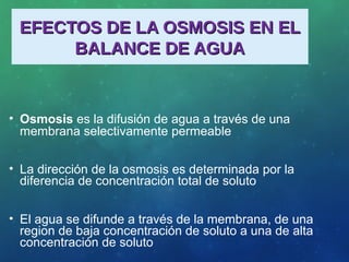 EFECTOS DE LA OSMOSIS EN ELEFECTOS DE LA OSMOSIS EN EL
BALANCE DE AGUABALANCE DE AGUA
• Osmosis es la difusión de agua a través de una
membrana selectivamente permeable
• La dirección de la osmosis es determinada por la
diferencia de concentración total de soluto
• El agua se difunde a través de la membrana, de una
region de baja concentración de soluto a una de alta
concentración de soluto
 