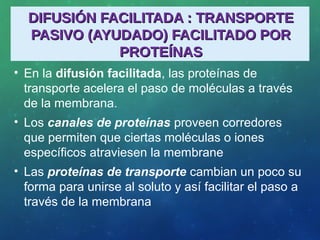 DIFUSIÓN FACILITADA : TRANSPORTEDIFUSIÓN FACILITADA : TRANSPORTE
PASIVO (AYUDADO) FACILITADO PORPASIVO (AYUDADO) FACILITADO POR
PROTEÍNASPROTEÍNAS
• En la difusión facilitada, las proteínas de
transporte acelera el paso de moléculas a través
de la membrana.
• Los canales de proteínas proveen corredores
que permiten que ciertas moléculas o iones
específicos atraviesen la membrane
• Las proteínas de transporte cambian un poco su
forma para unirse al soluto y así facilitar el paso a
través de la membrana
 