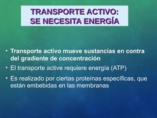TRANSPORTE ACTIVO:TRANSPORTE ACTIVO:
SE NECESITA ENERGÍASE NECESITA ENERGÍA
• Transporte activo mueve sustancias en contra
del gradiente de concentración
• El transporte active requiere energía (ATP)
• Es realizado por ciertas proteínas específicas, que
están embebidas en las membranas
 