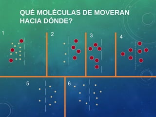 QUÉ MOLÉCULAS DE MOVERAN
HACIA DÓNDE?
1 2 3 4
5 6
 