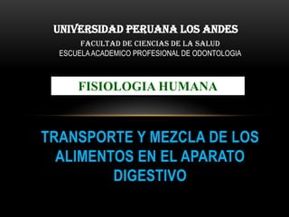 UNIVERSIDAD PERUANA LOS ANDES
       FACULTAD DE CIENCIAS DE LA SALUD
  ESCUELA ACADEMICO PROFESIONAL DE ODONTOLOGIA



      FISIOLOGIA HUMANA



TRANSPORTE Y MEZCLA DE LOS
  ALIMENTOS EN EL APARATO
         DIGESTIVO
 
