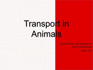 Module One: Life Processes in
         Plants and Animals
                   Paper Two
 