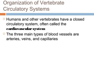 Organization of Vertebrate
Circulatory Systems
 Humans and other vertebrates have a closed
circulatory system, often called the
cardiovascularsystem
 The three main types of blood vessels are
arteries, veins, and capillaries
 