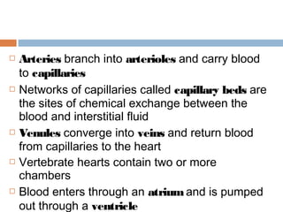  Arteries branch into arterioles and carry blood
to capillaries
 Networks of capillaries called capillary beds are
the sites of chemical exchange between the
blood and interstitial fluid
 Venules converge into veins and return blood
from capillaries to the heart
 Vertebrate hearts contain two or more
chambers
 Blood enters through an atriumand is pumped
out through a ventricle
 