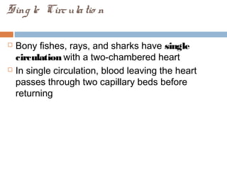 Sing le Circulatio n
 Bony fishes, rays, and sharks have single
circulation with a two-chambered heart
 In single circulation, blood leaving the heart
passes through two capillary beds before
returning
 