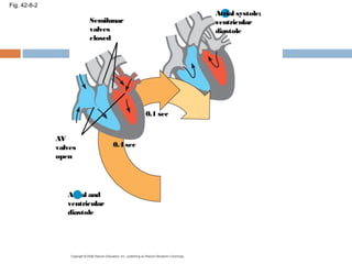 Fig. 42-8-2
Semilunar
valves
closed
0.4 sec
AV
valves
open
Atrial and
ventricular
diastole
1
2
0.1 sec
Atrial systole;
ventricular
diastole
 