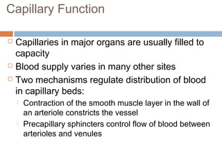 Capillary Function
 Capillaries in major organs are usually filled to
capacity
 Blood supply varies in many other sites
 Two mechanisms regulate distribution of blood
in capillary beds:
 Contraction of the smooth muscle layer in the wall of
an arteriole constricts the vessel
 Precapillary sphincters control flow of blood between
arterioles and venules
 