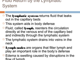 Fluid Return by the Lymphatic
System
 The lymphatic systemreturns fluid that leaks
out in the capillary beds
 This system aids in body defense
 Fluid, called lymph, reenters the circulation
directly at the venous end of the capillary bed
and indirectly through the lymphatic system
 The lymphatic system drains into veins in the
neck
 Lymph nodes are organs that filter lymph and
play an important role in the body’s defense
 Edema is swelling caused by disruptions in the
 