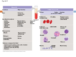Fig. 42-17
Plasma 55%
Constituent Majorfunctions
Water Solvent for
carrying other
substances
Ions (blood electrolytes)
Osmotic balance,
pHbuffering, and
regulation of
membrane
permeability
Sodium
Potassium
Calcium
Magnesium
Chloride
Bicarbonate
Osmotic balance
pHbuffering
Clotting
Defense
Plasma proteins
Albumin
Fibrinogen
Immunoglobulins
(antibodies)
Substances transported by blood
Nutrients (such as glucose, fatty acids, vitamins)
Waste products of metabolism
Respiratory gases (O2 and CO2)
Hormones
Separated
blood
elements
Cellularelements 45%
Cell type FunctionsNumber
perµL (mm3
) of blood
Erythrocytes
(red blood cells)
5–6 million Transport oxygen
and help transport
carbon dioxide
Leukocytes
(white blood cells)
5,000–10,000 Defense and
immunity
Basophil
Neutrophil
Eosinophil
Lymphocyte
Monocyte
Platelets Blood clotting250,000–
400,000
 