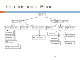 61
Composition of Blood
Blood
Plasma 46-63% Formed Elements 37-54%
Plasma Protein 7% Water 92% Other Solutes 1% Platelets RBC 99.9%WBC
Albumin
Fibrinogen
Globulin
Regulatory Proteins
Eg. Electrolytes
Monocytes
Basophils
Eosinophils
Neatrophils
Lymphocytes
 