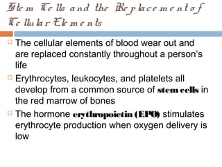 Ste m Ce lls and the Re place m e nt o f
Ce llular Ele m e nts
 The cellular elements of blood wear out and
are replaced constantly throughout a person’s
life
 Erythrocytes, leukocytes, and platelets all
develop from a common source of stemcells in
the red marrow of bones
 The hormone erythropoietin (EPO) stimulates
erythrocyte production when oxygen delivery is
low
 