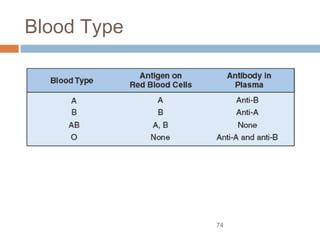 74
Blood Type
 