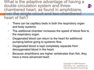 Copyright © 2008 Pearson
Education, Inc., publishing as
Pearson Benjamin Cummings.
What is the adaptive advantage of having a
double circulation system and three-
chambered heart, as found in amphibians,
over the single circuit and two-chambered
heart of fish?
a. There can be capillary beds in both the respiratory organ
and body systems.
b. The additional chamber increases the speed of blood flow to
the respiratory organ.
c. Oxygenated blood can return to the heart for additional
pumping before going to systemic flow.
d. Oxygenated blood is kept completely separate from
deoxygenated blood in the heart.
e. Because amphibians are higher vertebrates than fish, they
have a more advanced heart.
 