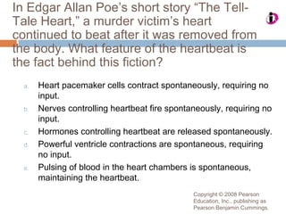Copyright © 2008 Pearson
Education, Inc., publishing as
Pearson Benjamin Cummings.
In Edgar Allan Poe’s short story “The Tell-
Tale Heart,” a murder victim’s heart
continued to beat after it was removed from
the body. What feature of the heartbeat is
the fact behind this fiction?
a. Heart pacemaker cells contract spontaneously, requiring no
input.
b. Nerves controlling heartbeat fire spontaneously, requiring no
input.
c. Hormones controlling heartbeat are released spontaneously.
d. Powerful ventricle contractions are spontaneous, requiring
no input.
e. Pulsing of blood in the heart chambers is spontaneous,
maintaining the heartbeat.
 