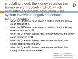 Copyright © 2008 Pearson
Education, Inc., publishing as
Pearson Benjamin Cummings.
In response to a period of low O2 in
circulating blood, the kidney secretes the
hormone erythropoietin (EPO), which
stimulates erythrocyte production. This
system involves a negative feedback
control because
a. when the EPO level rises above a certain point, the kidney
stops producing it.
b. when the EPO level rises above a certain point, the kidney
makes much more of it.
c. when the O2 level in tissues falls to a normal level, the kidney
stops producing EPO.
d. when the O2 level in tissues rises to a normal level, the
kidney stops producing EPO.
e. when the O2 level in tissues rises to a normal level, the
kidney makes much more EPO.
 