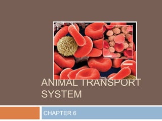 ANIMAL TRANSPORT
SYSTEM
CHAPTER 6
 