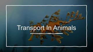 Transport In Animals
 