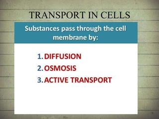 TRANSPORT IN CELLS
 