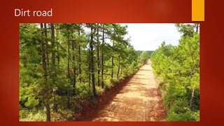Dirt road
 