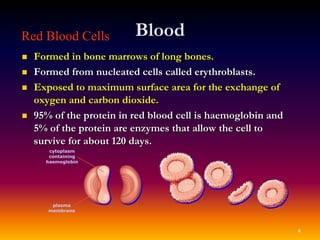 Red blood cells in Blood | PDF