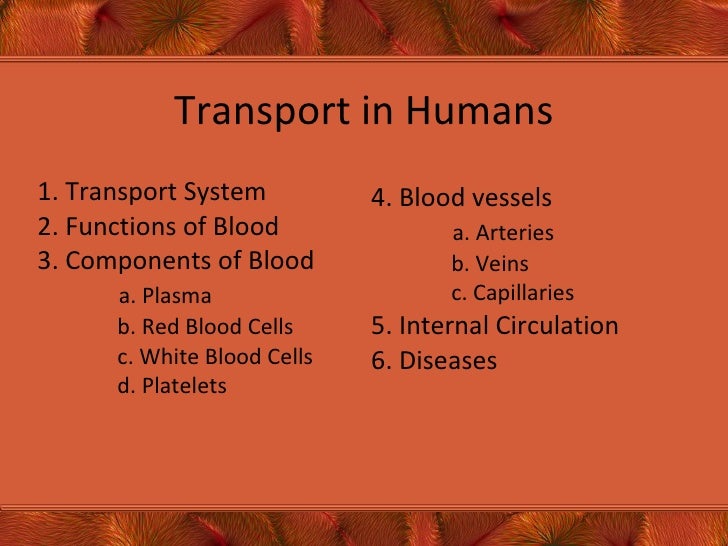 Transport In Humans