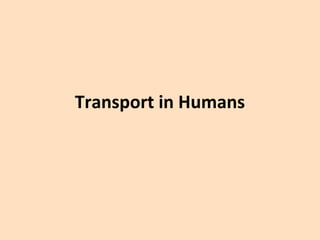 Transport in Humans
 