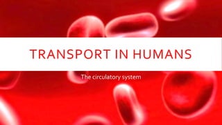 TRANSPORT IN HUMANS 
The circulatory system 
 