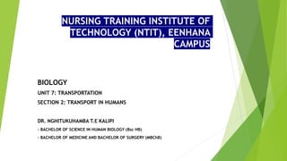 NURSING TRAINING INSTITUTE OF
TECHNOLOGY (NTIT), EENHANA
CAMPUS
BIOLOGY
UNIT 7: TRANSPORTATION
SECTION 2: TRANSPORT IN HUMANS
DR. NGHITUKUHAMBA T.E KALIPI
- BACHELOR OF SCIENCE IN HUMAN BIOLOGY (Bsc HB)
- BACHELOR OF MEDICINE AND BACHELOR OF SURGERY (MBChB)
 