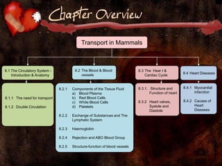 Chapter Overview Transport in Mammals 8.2	The Blood & Blood vessels 8.1 The Circulatory System - Introduction & Anatomy 8.3	The  Hear t & Cardiac Cycle 8.4	Heart Diseases 8.1.1	The need for transport 8.1.2	Double Circulation 8.3.1. Structure and Function of heart 8.3.2	Heart valves, Systole and Diastole 8.2.1	Components of the Tissue Fluid 	a)	Blood Plasma 	b)	Red Blood Cells 	c)	White Blood Cells 	d)	Platelets 8.2.2	Exchange of Substances and The Lymphatic System 8.2.3	Haemoglobin 8.2.4	Rejection and ABO Blood Group 8.2.5 	Structure-function of blood vessels 8.4.1	Myocardial infarction 8.4.2	Causes of Heart Diseases 