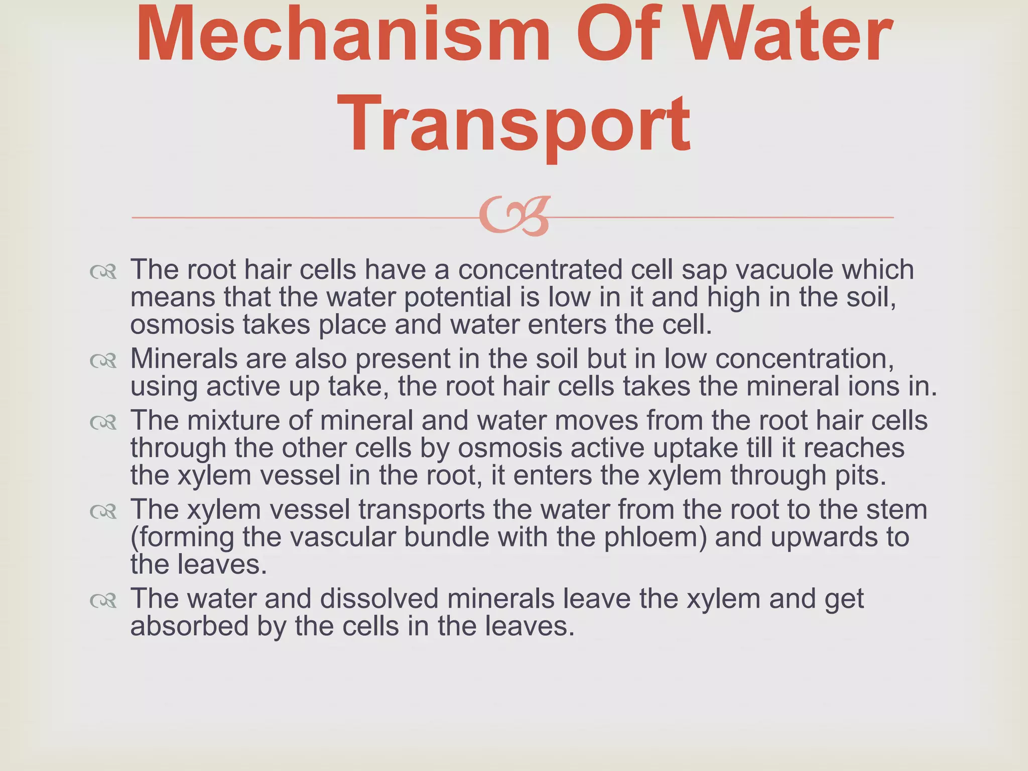 Transport in multicellular plants | PPTX