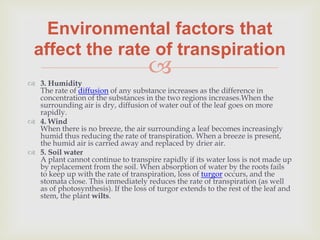 Environmental factors that
 affect the rate of transpiration
                                     
 3. Humidity
  The rate of diffusion of any substance increases as the difference in
  concentration of the substances in the two regions increases.When the
  surrounding air is dry, diffusion of water out of the leaf goes on more
  rapidly.
 4. Wind
  When there is no breeze, the air surrounding a leaf becomes increasingly
  humid thus reducing the rate of transpiration. When a breeze is present,
  the humid air is carried away and replaced by drier air.
 5. Soil water
  A plant cannot continue to transpire rapidly if its water loss is not made up
  by replacement from the soil. When absorption of water by the roots fails
  to keep up with the rate of transpiration, loss of turgor occurs, and the
  stomata close. This immediately reduces the rate of transpiration (as well
  as of photosynthesis). If the loss of turgor extends to the rest of the leaf and
  stem, the plant wilts.
 
