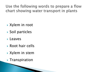 Xylem in rootSoil particlesLeavesRoot hair cellsXylem in stemTranspirationUse the following words to prepare a flow chart showing water transport in plants