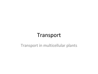 Transport
Transport in multicellular plants
 