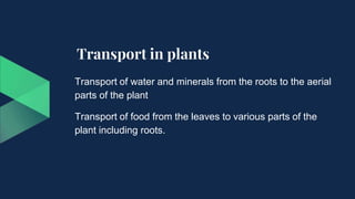 Transport in plants
Transport of water and minerals from the roots to the aerial
parts of the plant
Transport of food from the leaves to various parts of the
plant including roots.
 