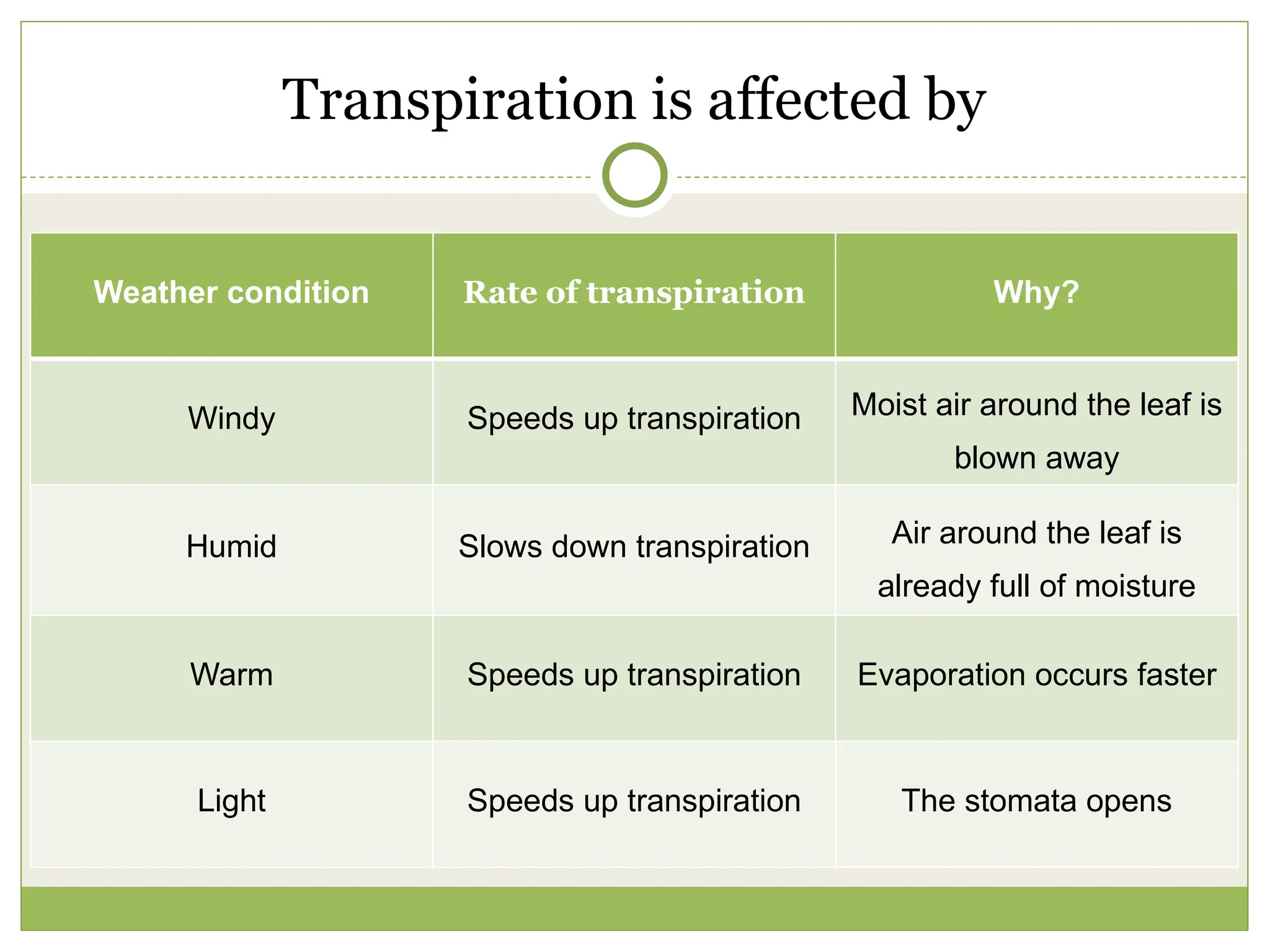 Transport in plants and vascular bundle.pptx