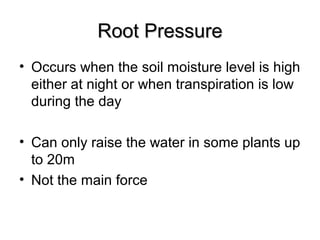 Root PressureRoot Pressure
• Occurs when the soil moisture level is high
either at night or when transpiration is low
during the day
• Can only raise the water in some plants up
to 20m
• Not the main force
 