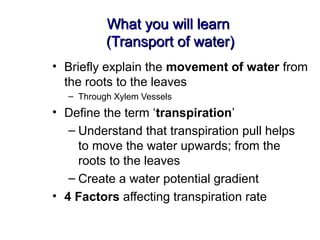 What you will learnWhat you will learn
(Transport of water)(Transport of water)
• Briefly explain the movement of water from
the roots to the leaves
– Through Xylem Vessels
• Define the term ‘transpiration’
– Understand that transpiration pull helps
to move the water upwards; from the
roots to the leaves
– Create a water potential gradient
• 4 Factors affecting transpiration rate
 