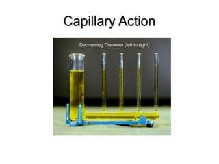 Capillary ActionCapillary Action
 