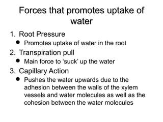 Forces that promotes uptake ofForces that promotes uptake of
waterwater
1. Root Pressure
 Promotes uptake of water in the root
2. Transpiration pull
 Main force to ‘suck’ up the water
3. Capillary Action
 Pushes the water upwards due to the
adhesion between the walls of the xylem
vessels and water molecules as well as the
cohesion between the water molecules
 
