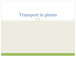 Transport in plants
 