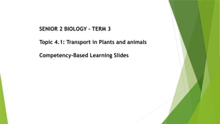 transport in plants and animals slides.pptx