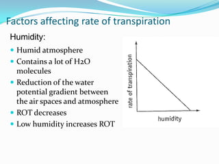 Transport in plants AS Biology [jm] | PPTX