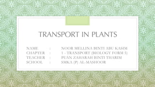 TRANSPORT IN PLANTS
NAME : NOOR MELLINA BINTI ABU KASIM
CHAPTER : 1 - TRANSPORT (BIOLOGY FORM 5)
TEACHER : PUAN ZAHARAH BINTI THARIM
SCHOOL : SMKA (P) AL-MASHOOR
 