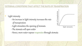 Biology Form 5 chapter 1.7 & 1.8 (Transport in Plants) | PPTX