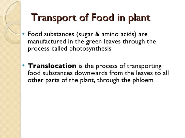 Transport in plant slides
